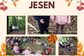 JESEN